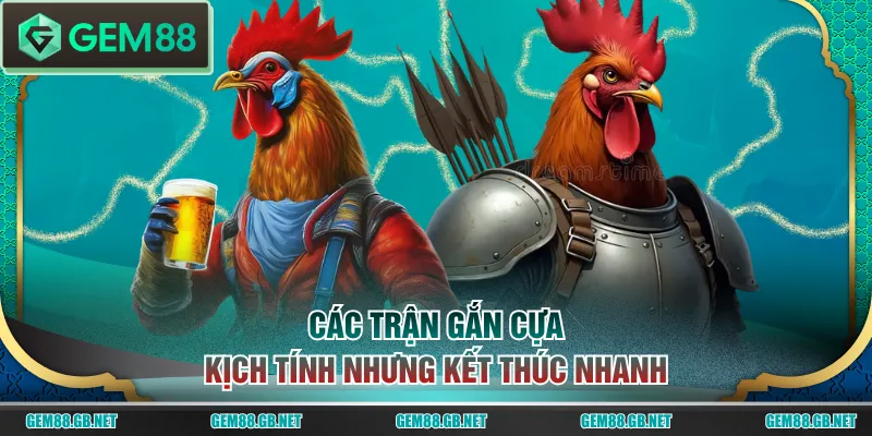 Các trận gắn cựa kịch tính nhưng kết thúc nhanh